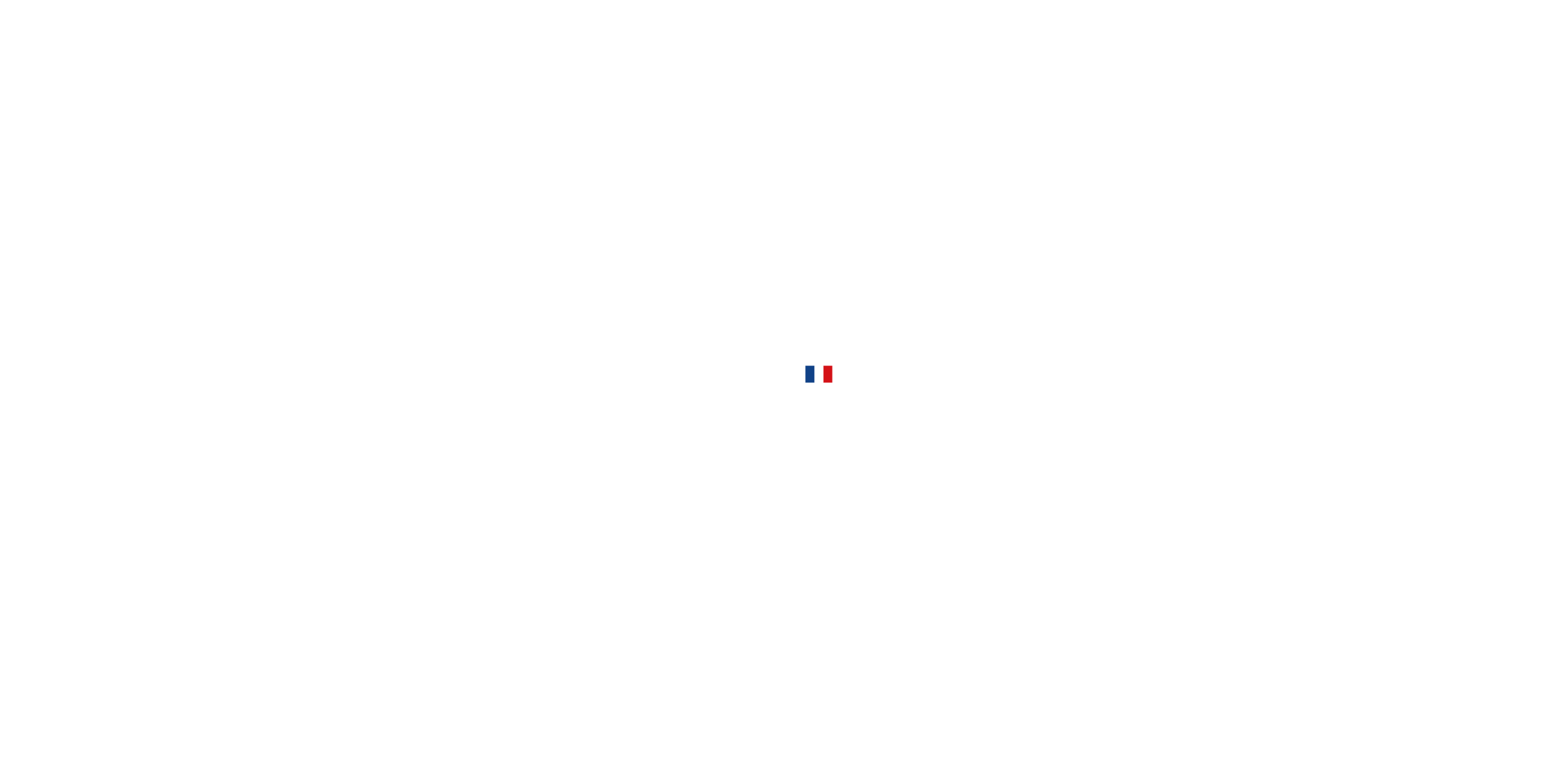 logo Guilberteau blanc avec le drapeau France