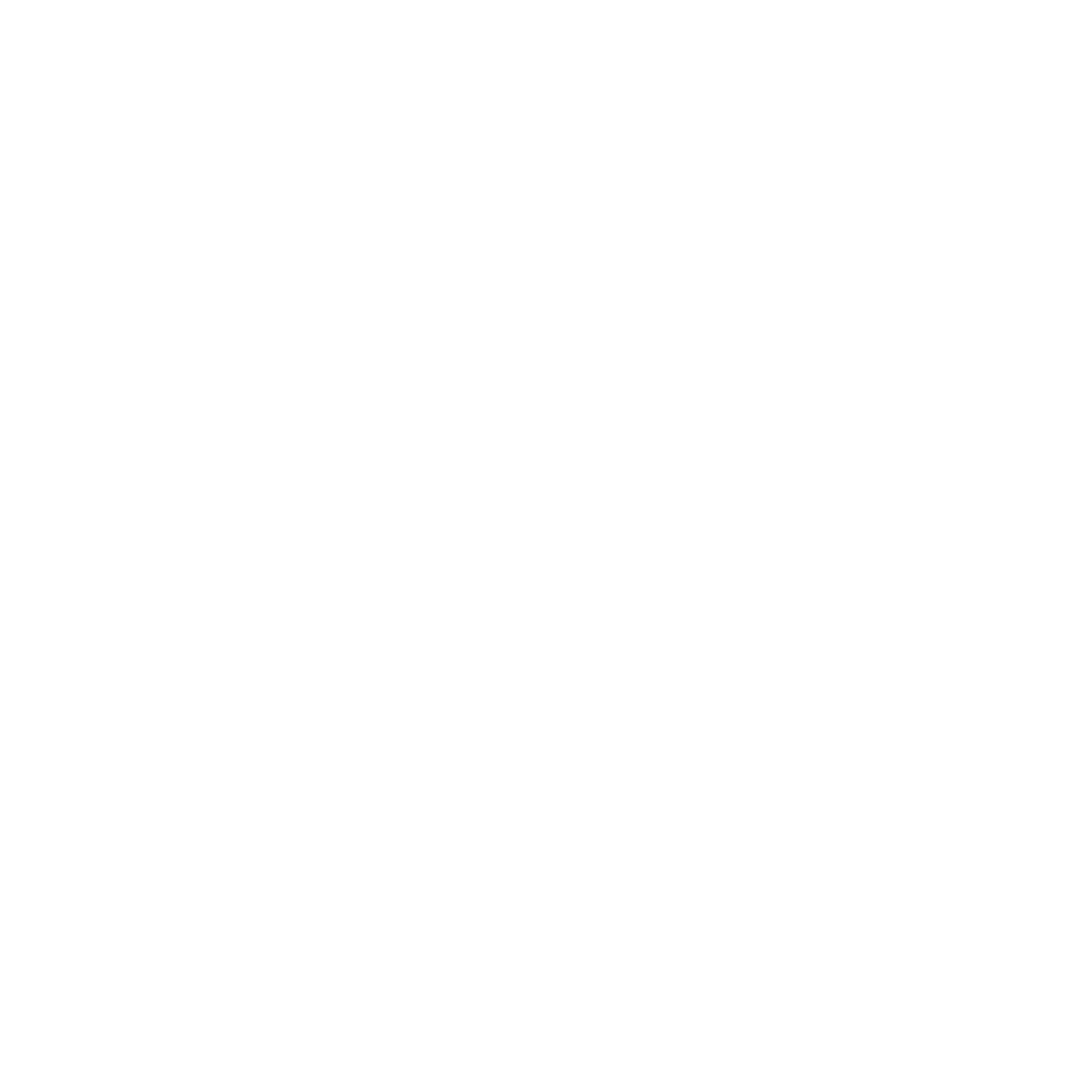 charte logo Nogent